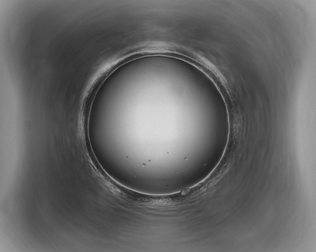 X0000116451464200912151250