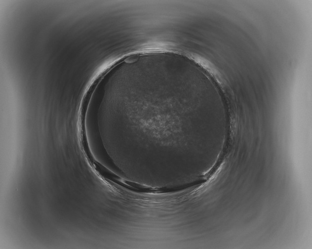 X0000116451469200912151250