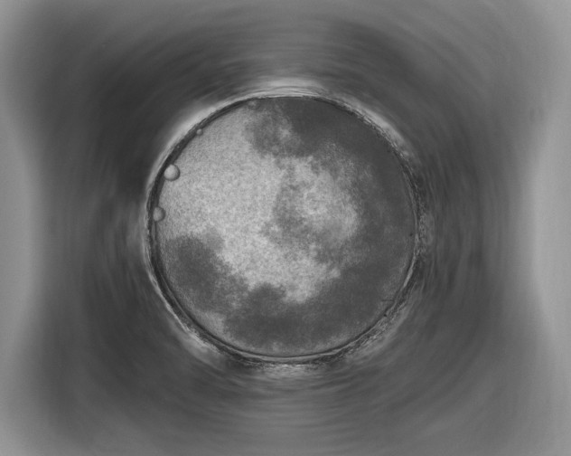 X0000116451470200912151250