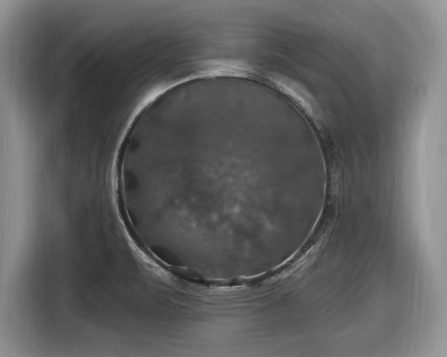 X0000116451471200912151250