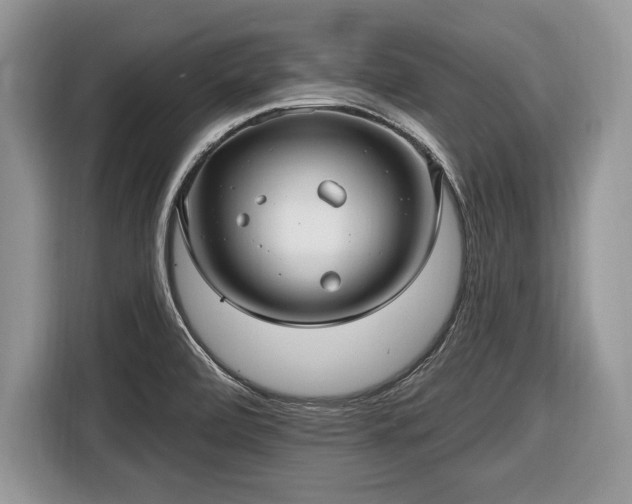 X0000116451472200912151250