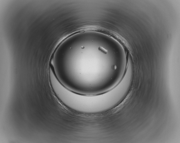 X0000116451473200912151250