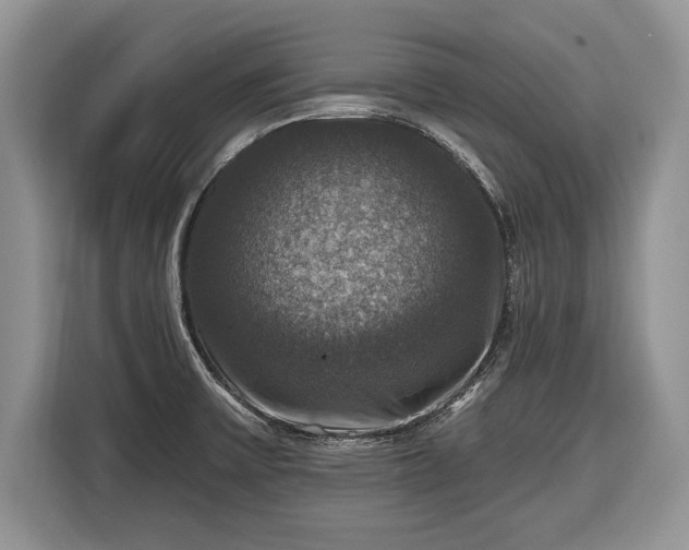 X0000116451475200912151250