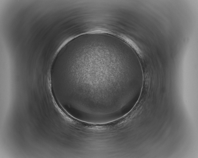X0000116451476200912151250