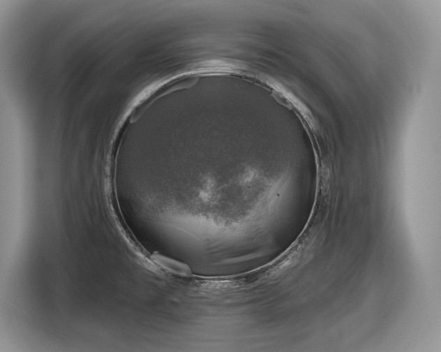 X0000116451477200912151250