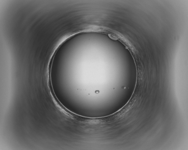 X0000116451479200912151250