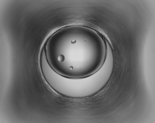 X0000116451480200912151250