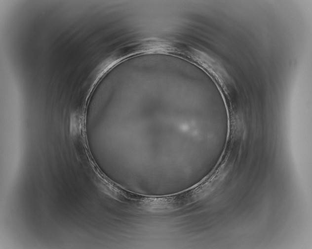 X0000116451481200912151250