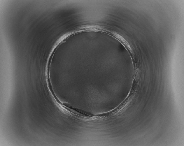 X0000116451482200912151250