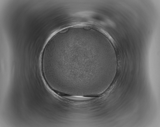 X0000116451483200912151250