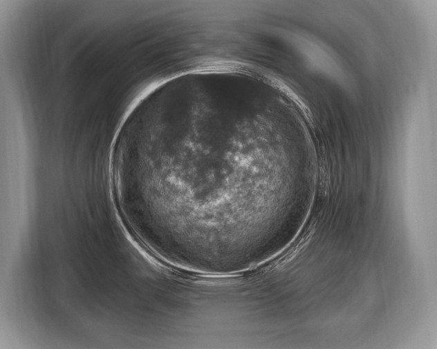 X0000116451487200912151250