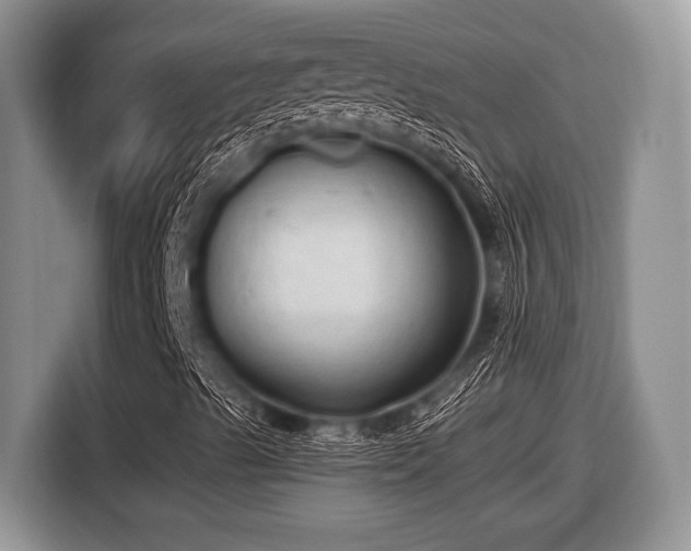 X0000116451489200912151249