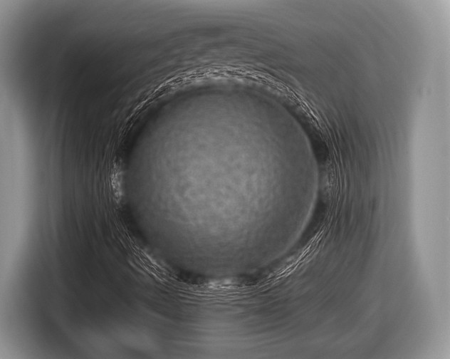 X0000116451490200912151249