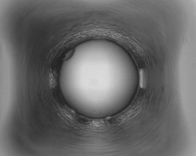 X0000116451491200912151249