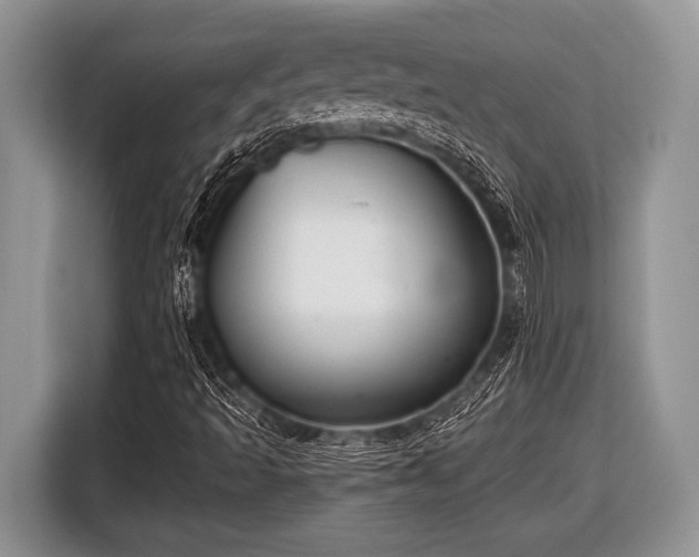 X0000116451493200912151249