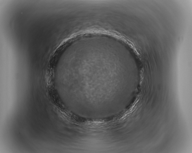 X0000116451494200912151249
