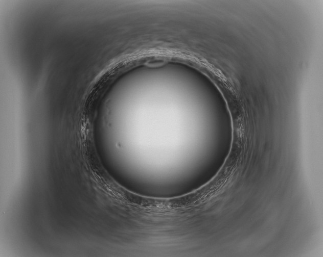 X0000116451495200912151249