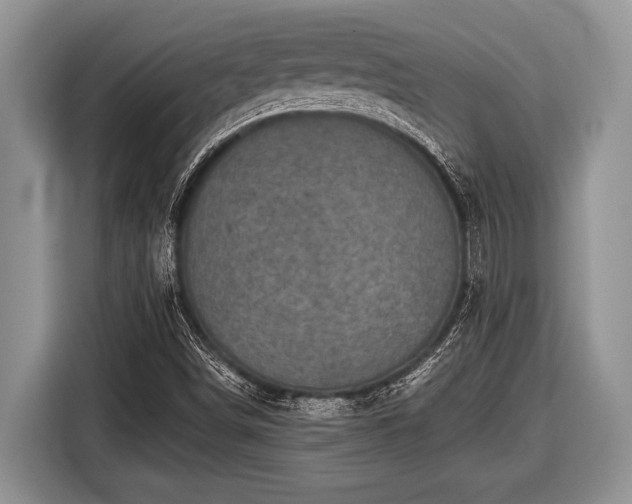 X0000116451498200912151249