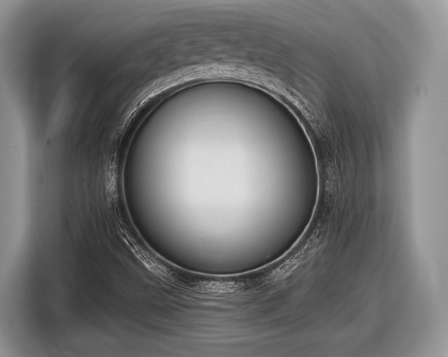 X0000116451499200912151249
