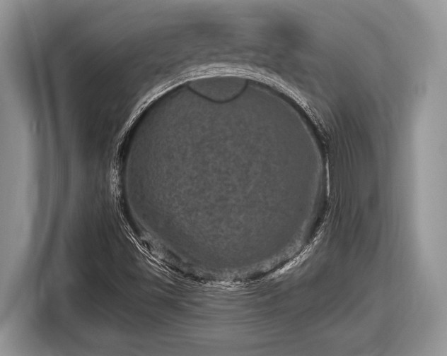 X0000116451501200912151249