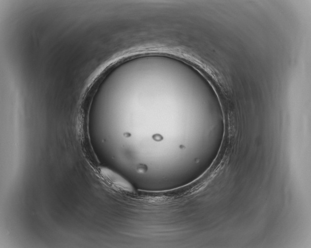 X0000116451502200912151249