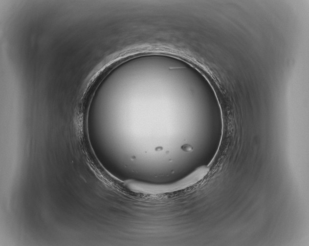 X0000116451503200912151249
