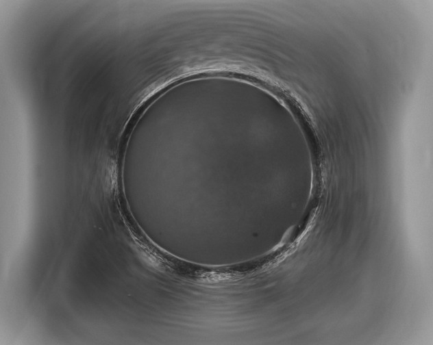 X0000116451505200912151249