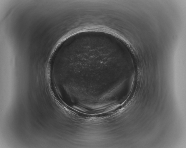 X0000116451506200912151250