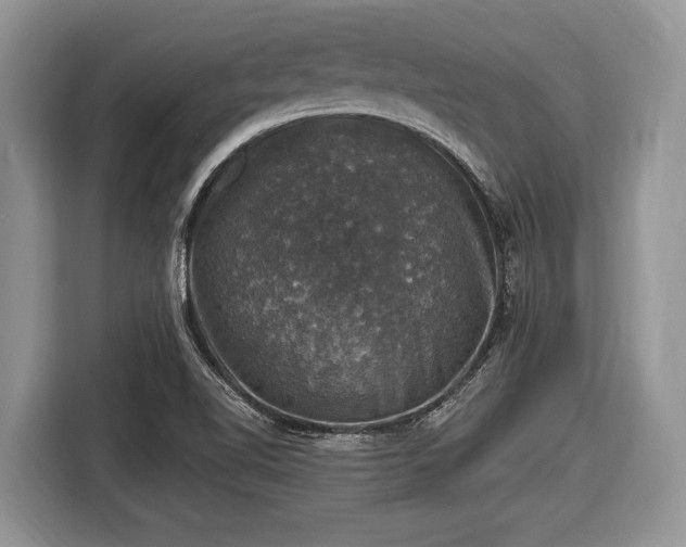 X0000116451510200912151250