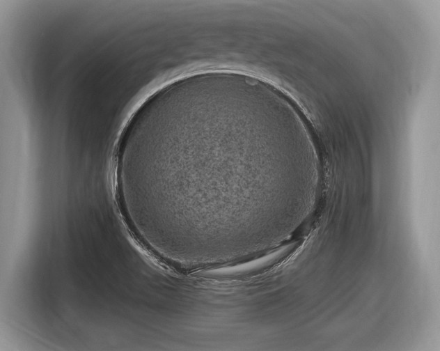 X0000116451511200912151250
