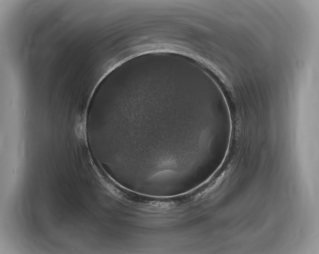 X0000116451513200912151250