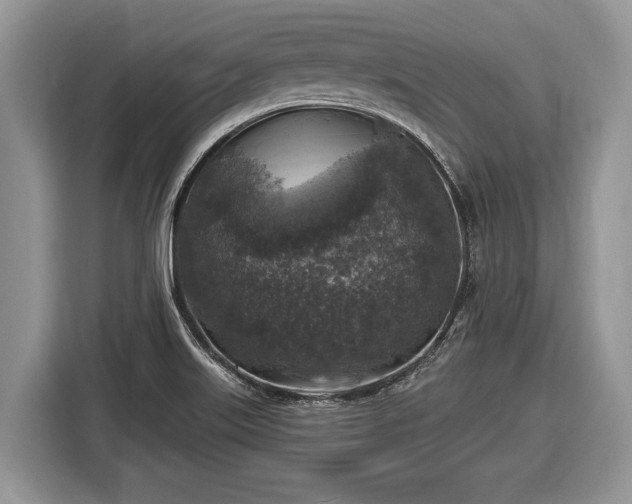 X0000116451515200912151250