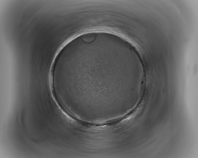 X0000116451517200912151250