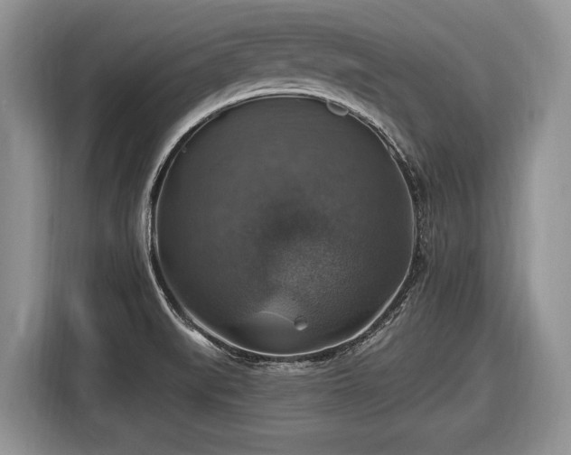 X0000116451519200912151250
