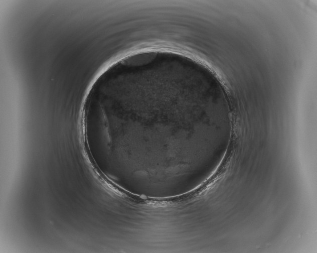 X0000116451522200912151250