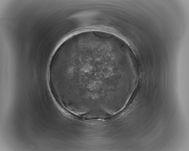 X0000116451523200912151250