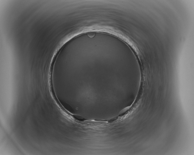 X0000116451525200912151250