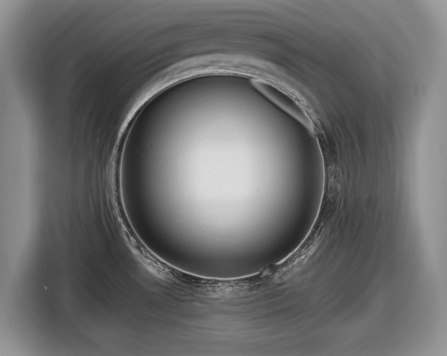 X0000116451530200912151250