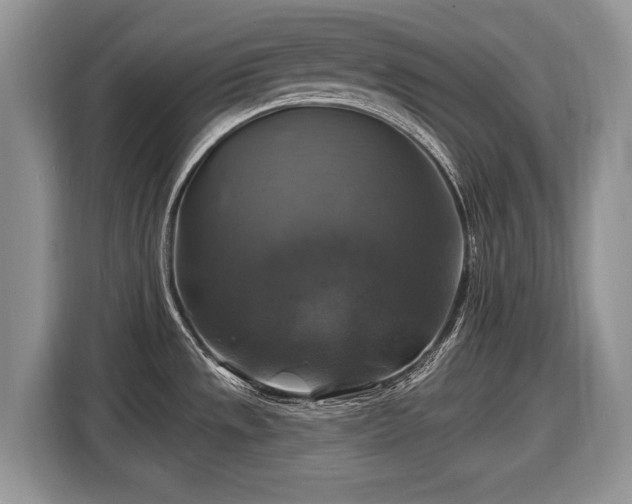 X0000116451533200912151250