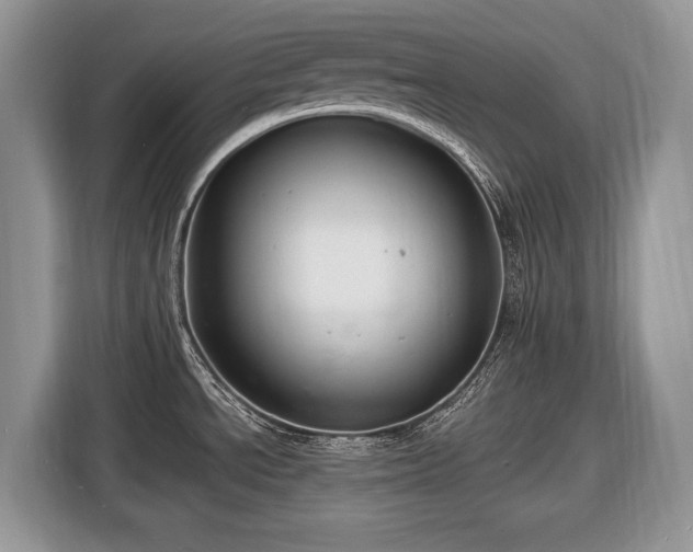 X0000116451534200912151250