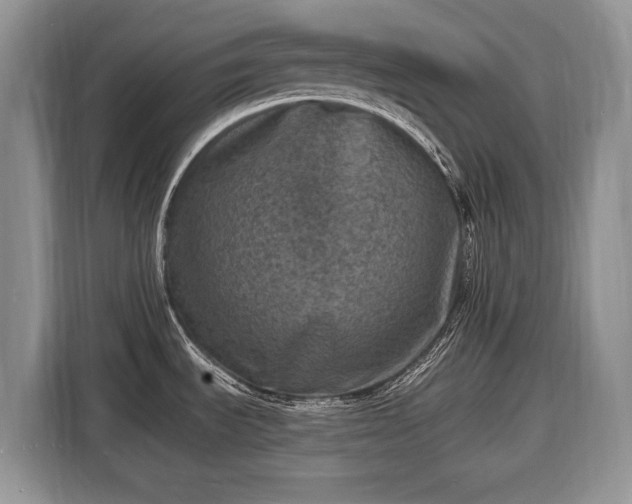 X0000116451535200912151250