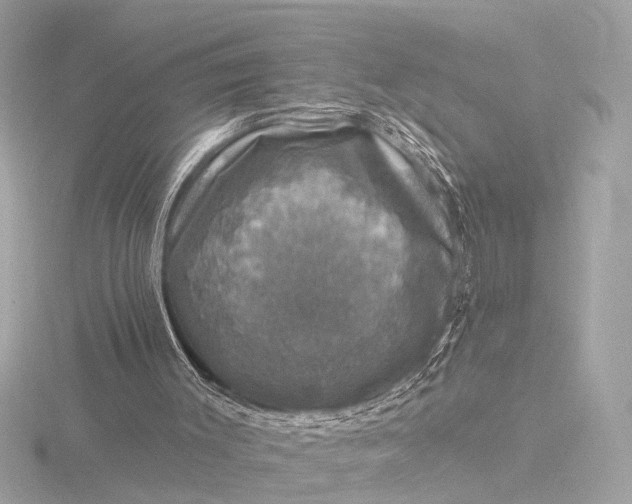 X0000116450003200912221553