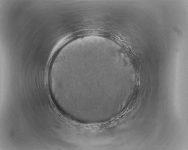 X0000116450004200912221553