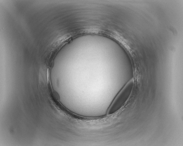 X0000116450013200912221553