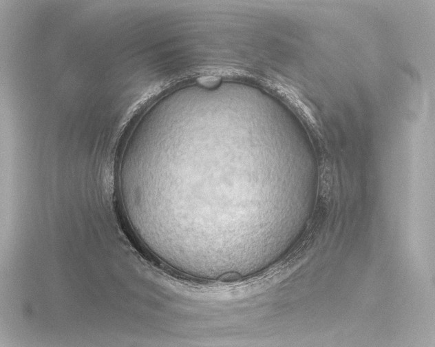 X0000116450015200912221553