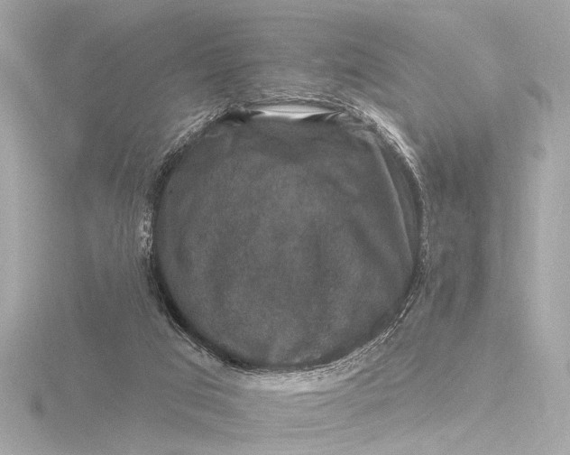 X0000116450017200912221553