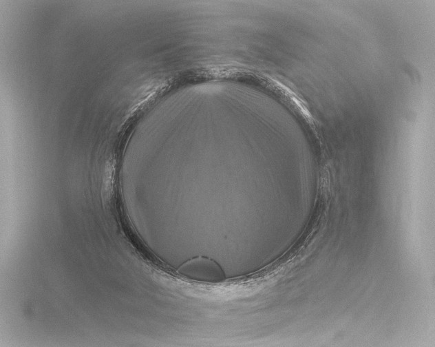 X0000116450018200912221553