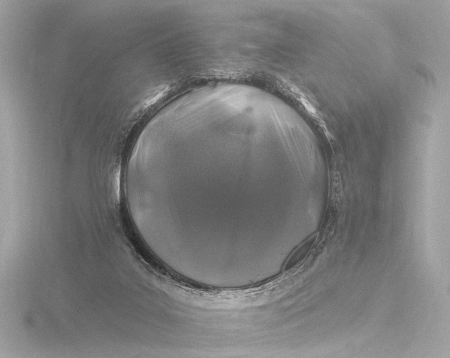 X0000116450019200912221553