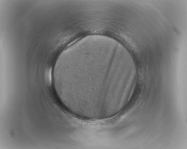 X0000116450028200912221553