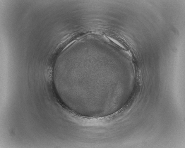 X0000116450036200912221553
